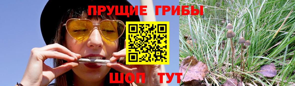 Наро-Фоминск  что такое наркотик  Вход с VPN  Галлюциногенные грибы ЛСД 